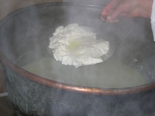 scuola di formaggio-58.JPG
